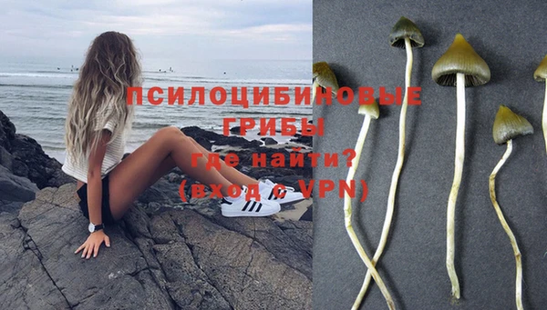 амфетамин Медвежьегорск