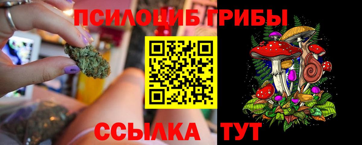 Галлюциногенные грибы GOLDEN TEACHER  Вход с VPN  где купить наркотик  Мурманск 