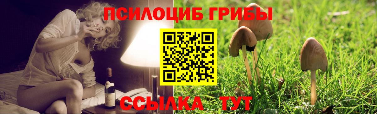 Меф   Конопля  Мурманск  Вход с VPN  COCAIN  Наркошоп  КОКАИН 