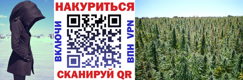 как найти наркотики  Мурманск  Шишки марихуана семена 